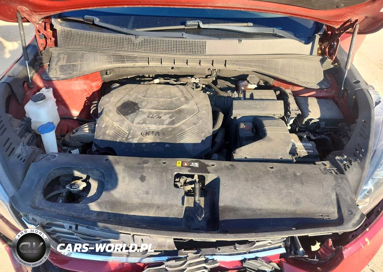 2019 Kia Sorento Ex V6 VIN:5XYPHDA55KG522547 - 12