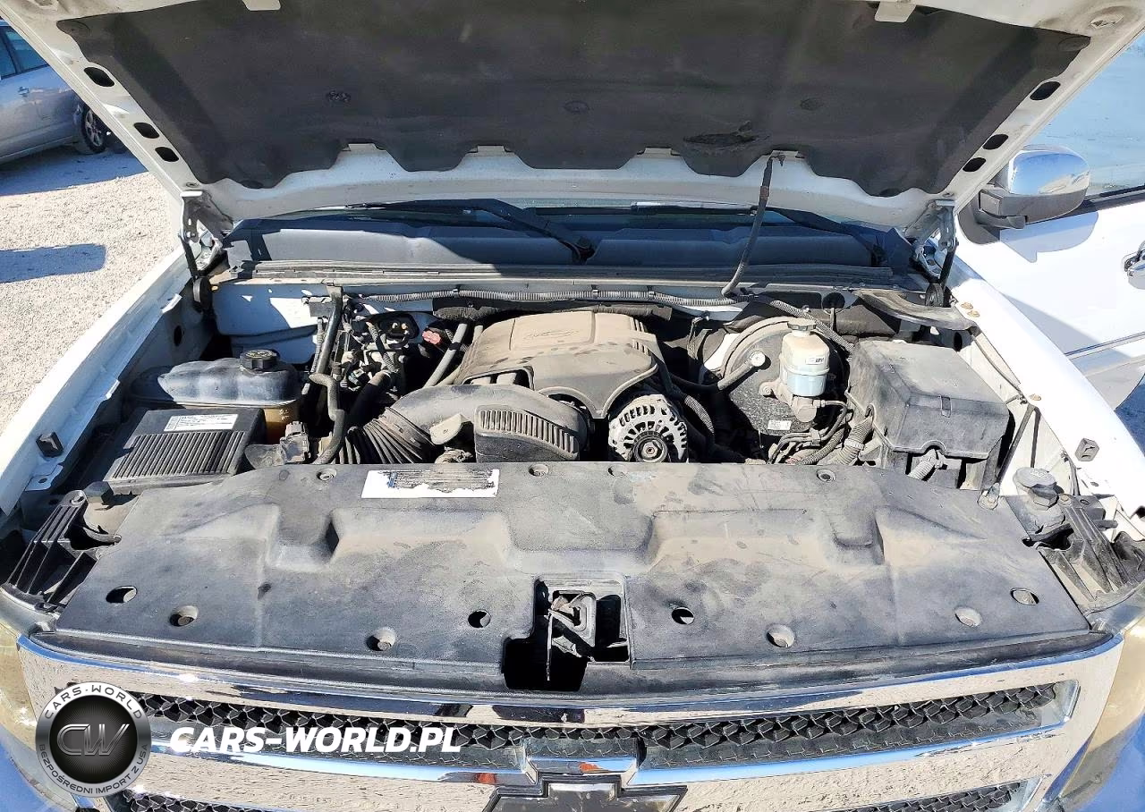 2009 Chevrolet Silverado C1500 Lt VIN:1GCEC29J09Z162403 - 11