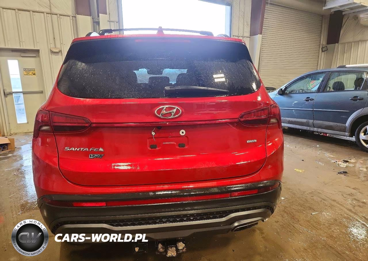 2023 Hyundai Santa Fe Xrt VIN:5NMS6DAJ8PH499758 - 6