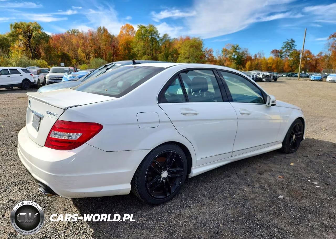 2014 Mercedes-Benz C 300 4Matic VIN:WDDGF8AB0ER302943 - 3