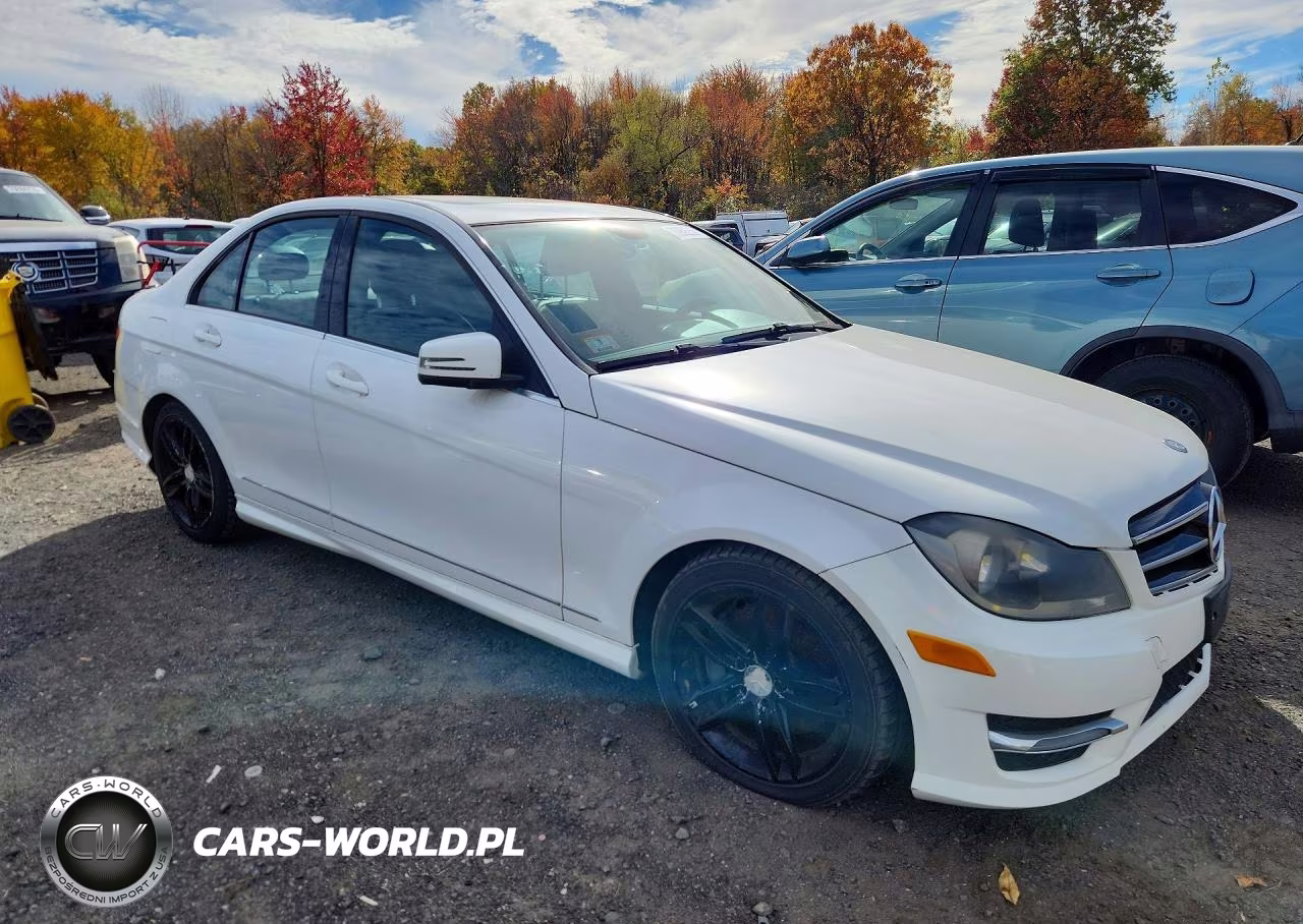 2014 Mercedes-Benz C 300 4Matic VIN:WDDGF8AB0ER302943 - 4