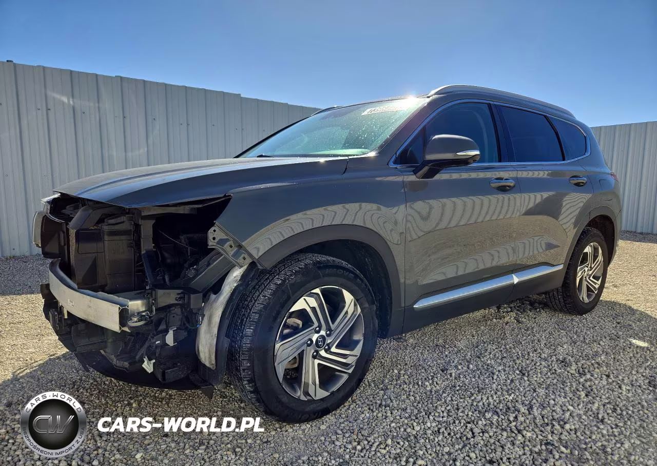 2023 Hyundai Santa Fe Sel Premium VIN:5NMS34AJXPH629077 - 1