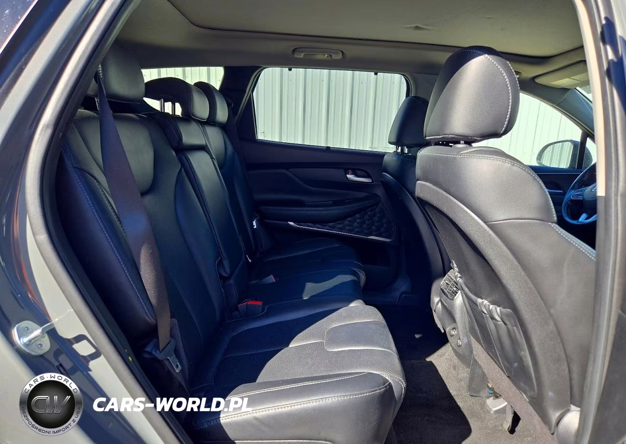 2023 Hyundai Santa Fe Sel Premium VIN:5NMS34AJXPH629077 - 11