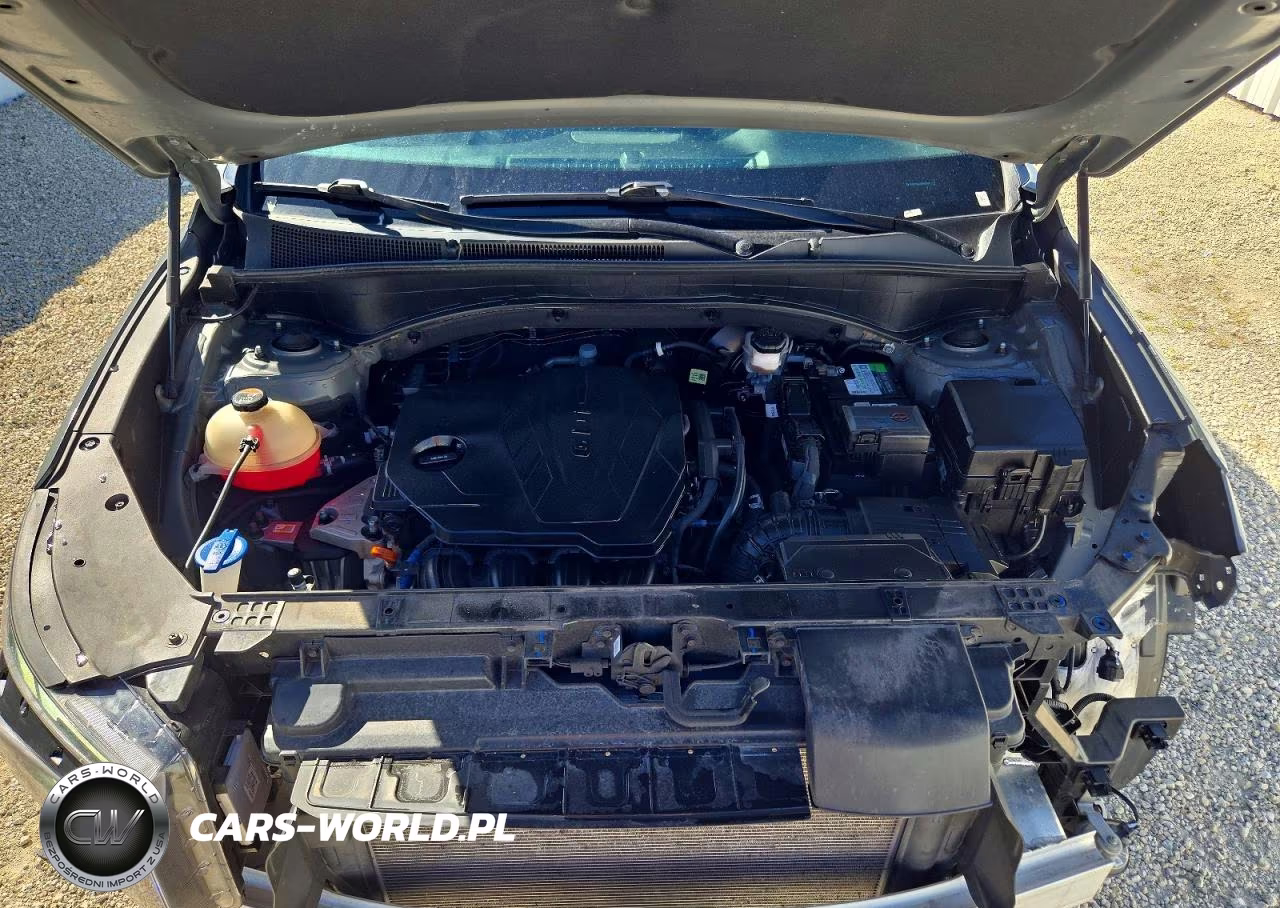 2023 Hyundai Santa Fe Sel Premium VIN:5NMS34AJXPH629077 - 12