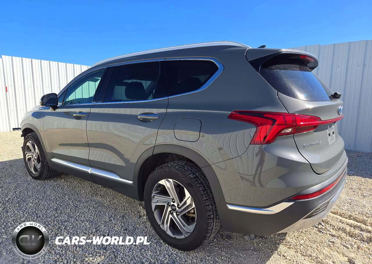 2023 Hyundai Santa Fe Sel Premium VIN:5NMS34AJXPH629077 - 2