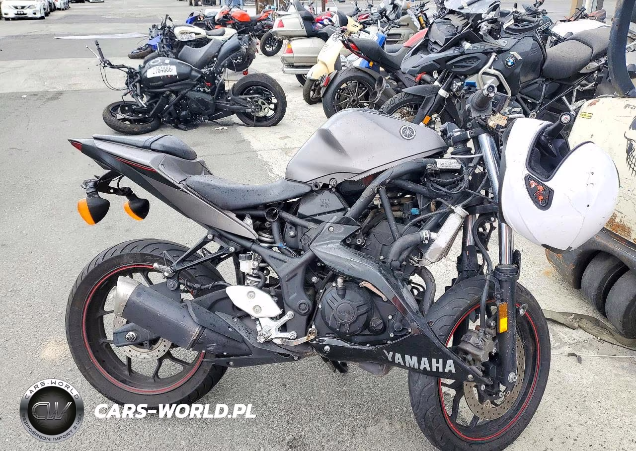 2016 Yamaha Yzfr3 – zdjęcie 1 z 9