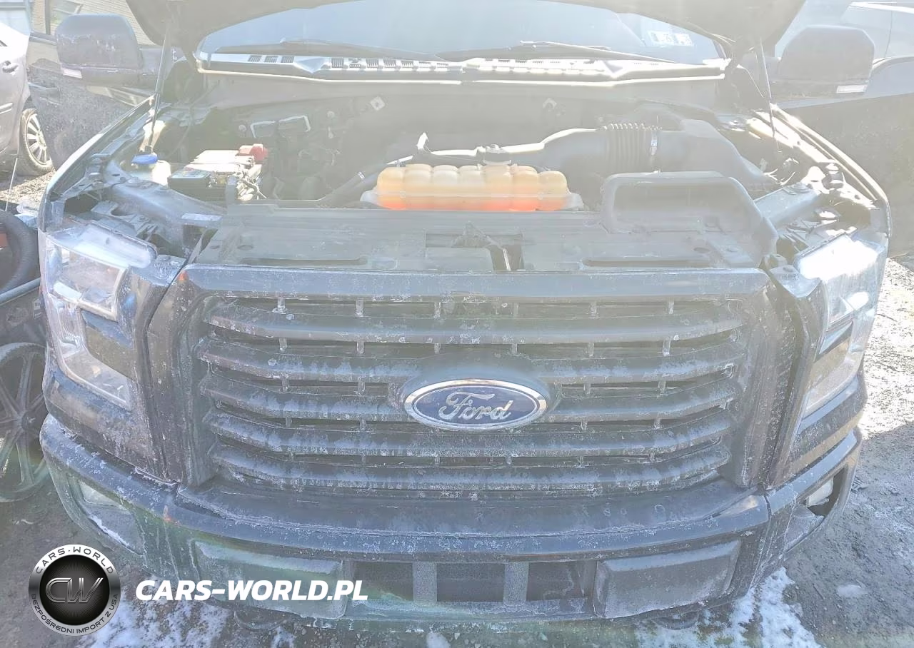 2017 Ford F150 Supercrew VIN:1FTEW1EP0HKD52169 - 11