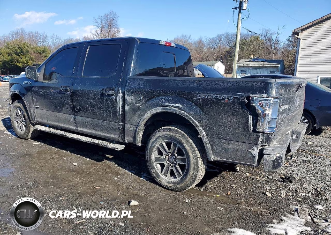 2017 Ford F150 Supercrew VIN:1FTEW1EP0HKD52169 - 2