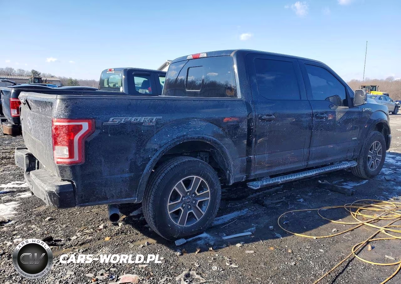 2017 Ford F150 Supercrew VIN:1FTEW1EP0HKD52169 - 3