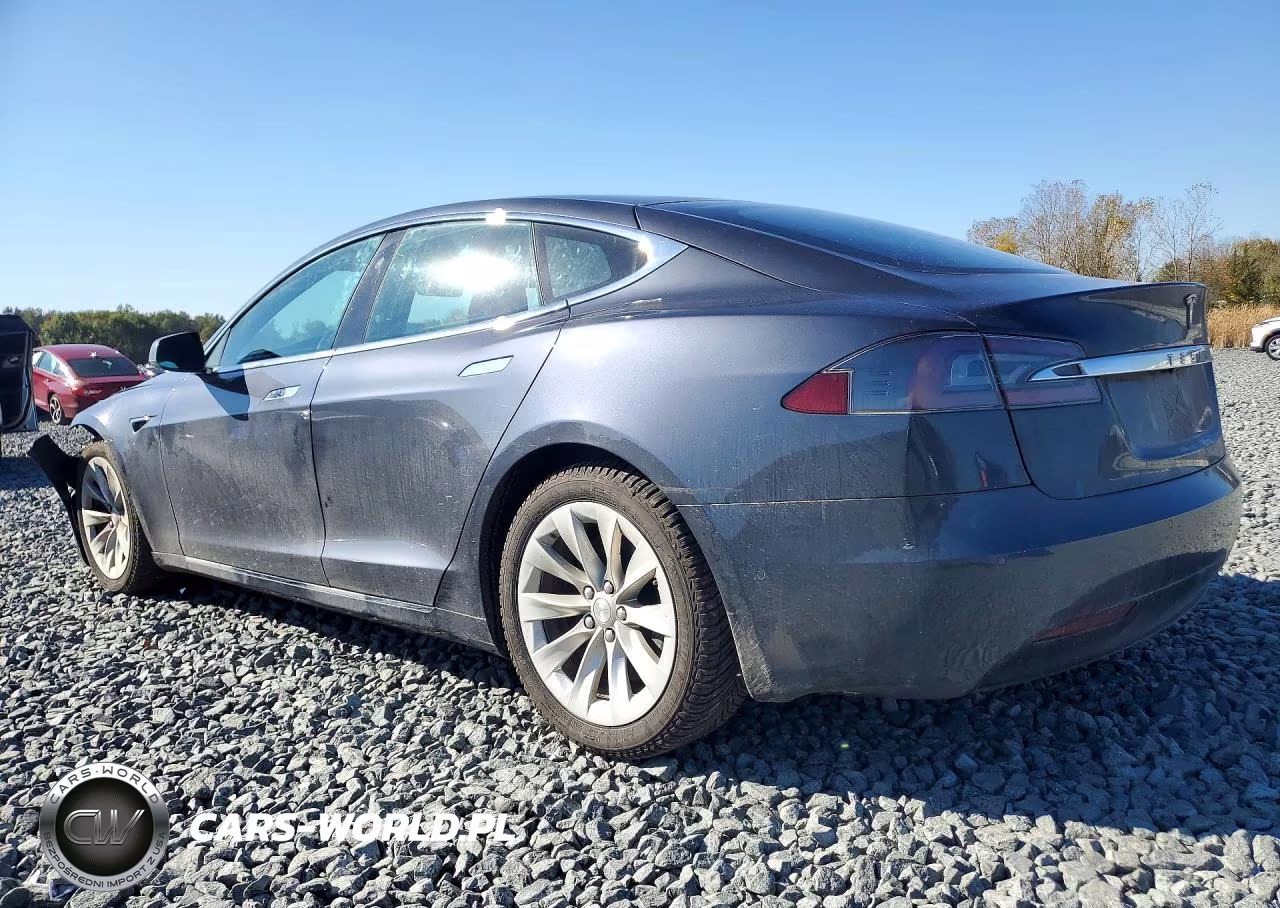 2020 Tesla Model S VIN:5YJSA1E27LF362659 - 2