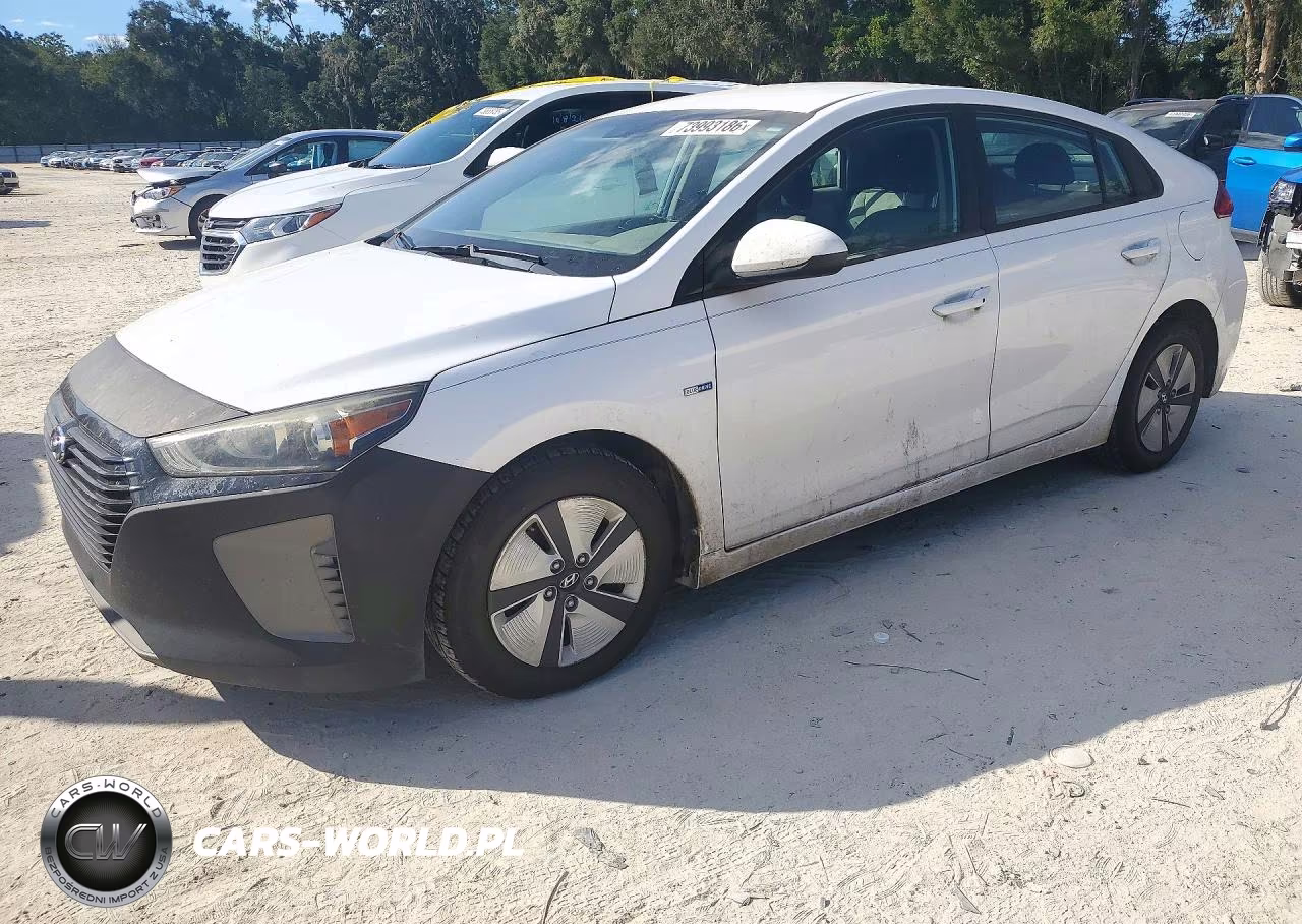 2019 Hyundai Ioniq Blue VIN:KMHC65LC7KU110789 - 1