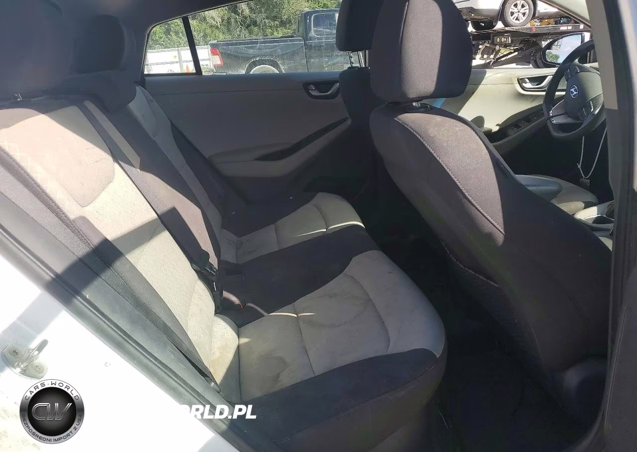 2019 Hyundai Ioniq Blue VIN:KMHC65LC7KU110789 - 10