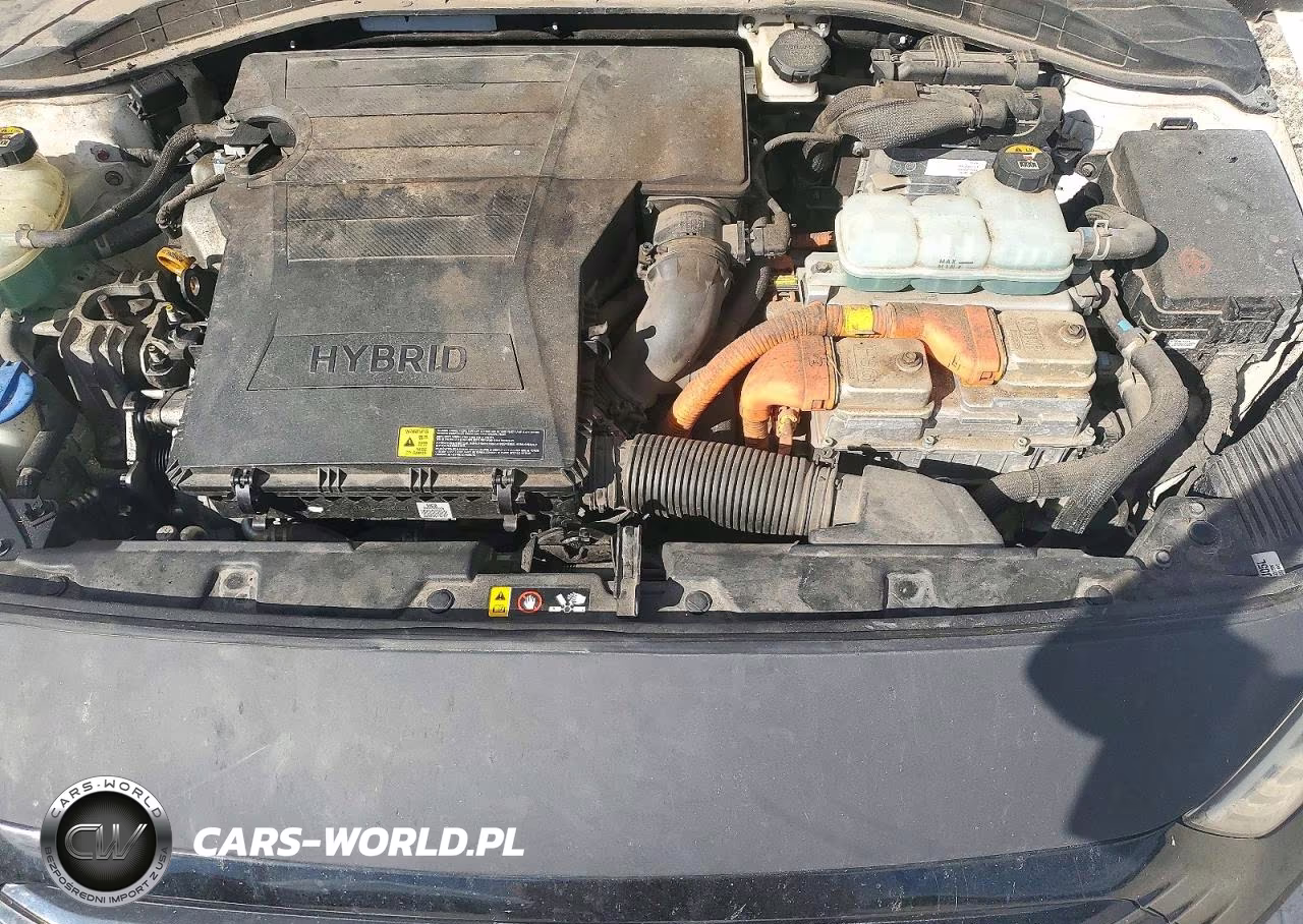 2019 Hyundai Ioniq Blue VIN:KMHC65LC7KU110789 - 11