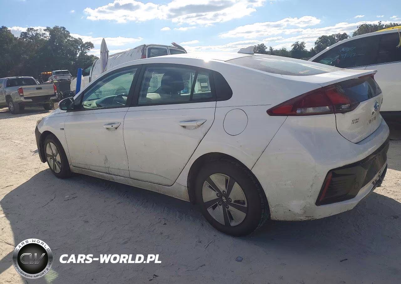 2019 Hyundai Ioniq Blue VIN:KMHC65LC7KU110789 - 2