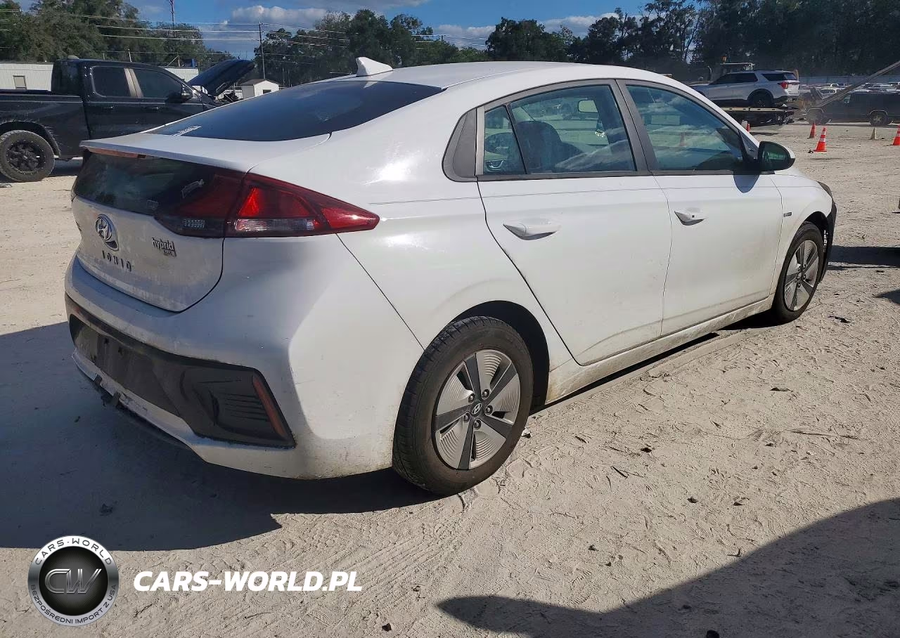 2019 Hyundai Ioniq Blue VIN:KMHC65LC7KU110789 - 3