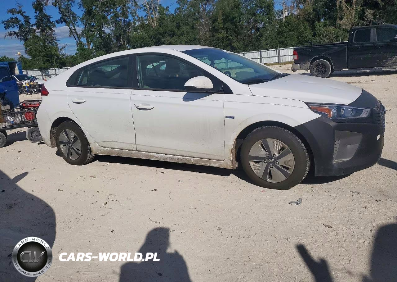 2019 Hyundai Ioniq Blue VIN:KMHC65LC7KU110789 - 4
