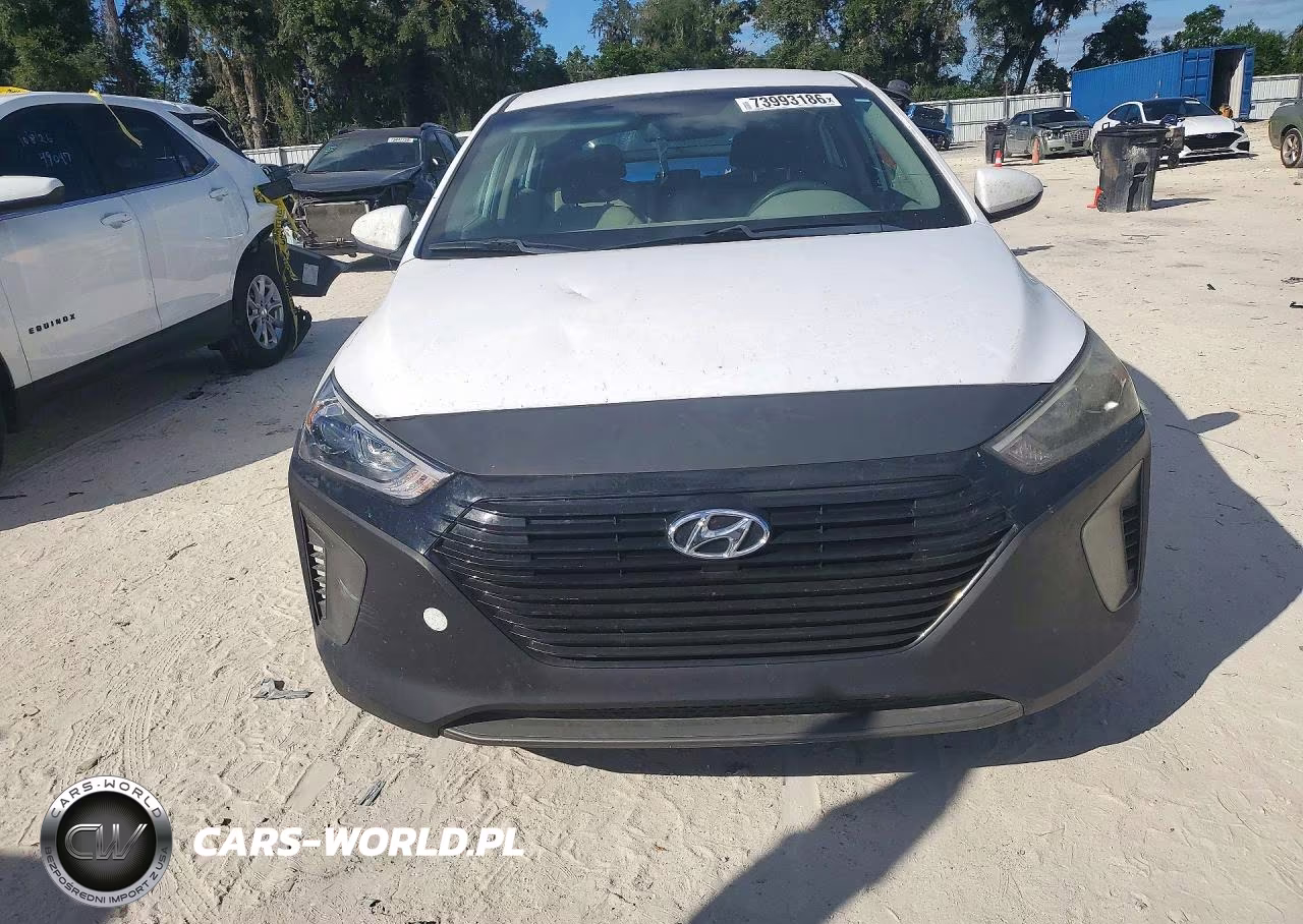2019 Hyundai Ioniq Blue VIN:KMHC65LC7KU110789 - 5