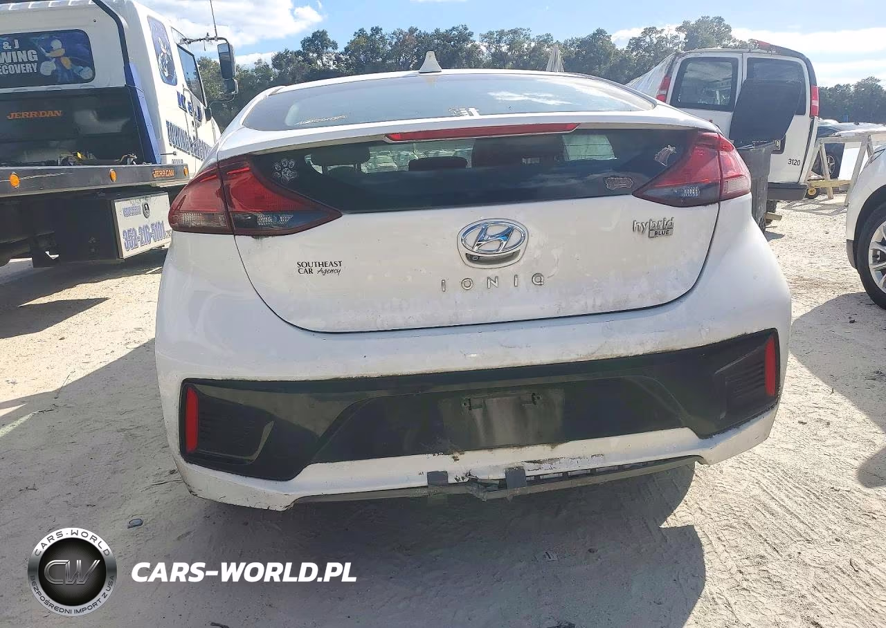 2019 Hyundai Ioniq Blue VIN:KMHC65LC7KU110789 - 6