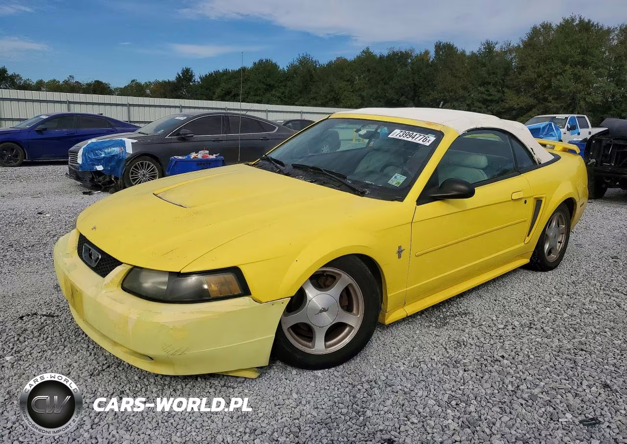 2003 Ford Mustang VIN:1FAFP44493F405615 - 1