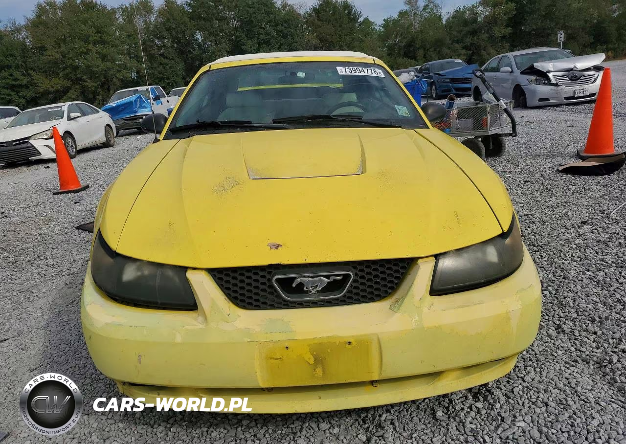 2003 Ford Mustang VIN:1FAFP44493F405615 - 5