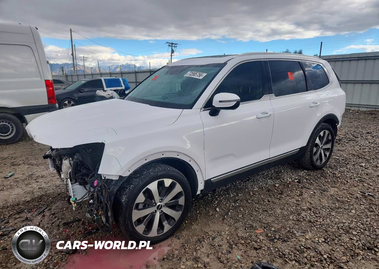 2022 Kia Telluride Ex VIN:5XYP34HC8NG276892 - 1