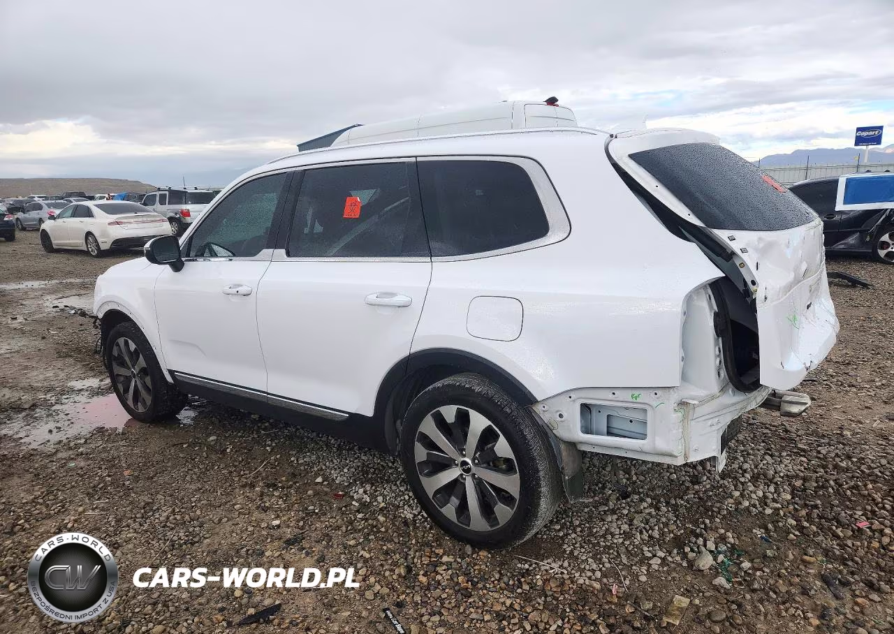 2022 Kia Telluride Ex VIN:5XYP34HC8NG276892 - 2