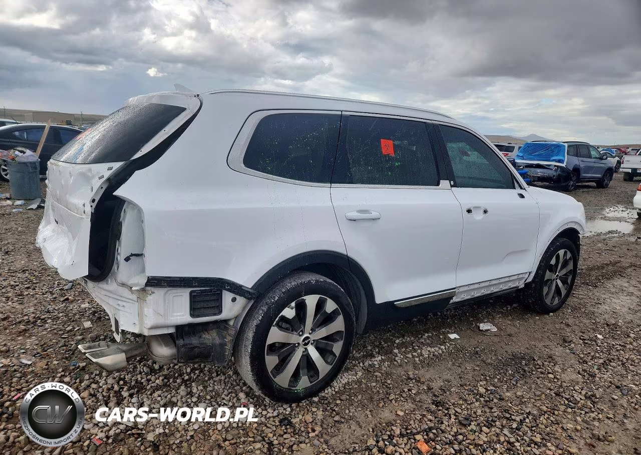 2022 Kia Telluride Ex VIN:5XYP34HC8NG276892 - 3
