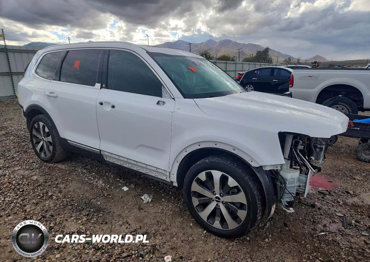 2022 Kia Telluride Ex VIN:5XYP34HC8NG276892 - 4
