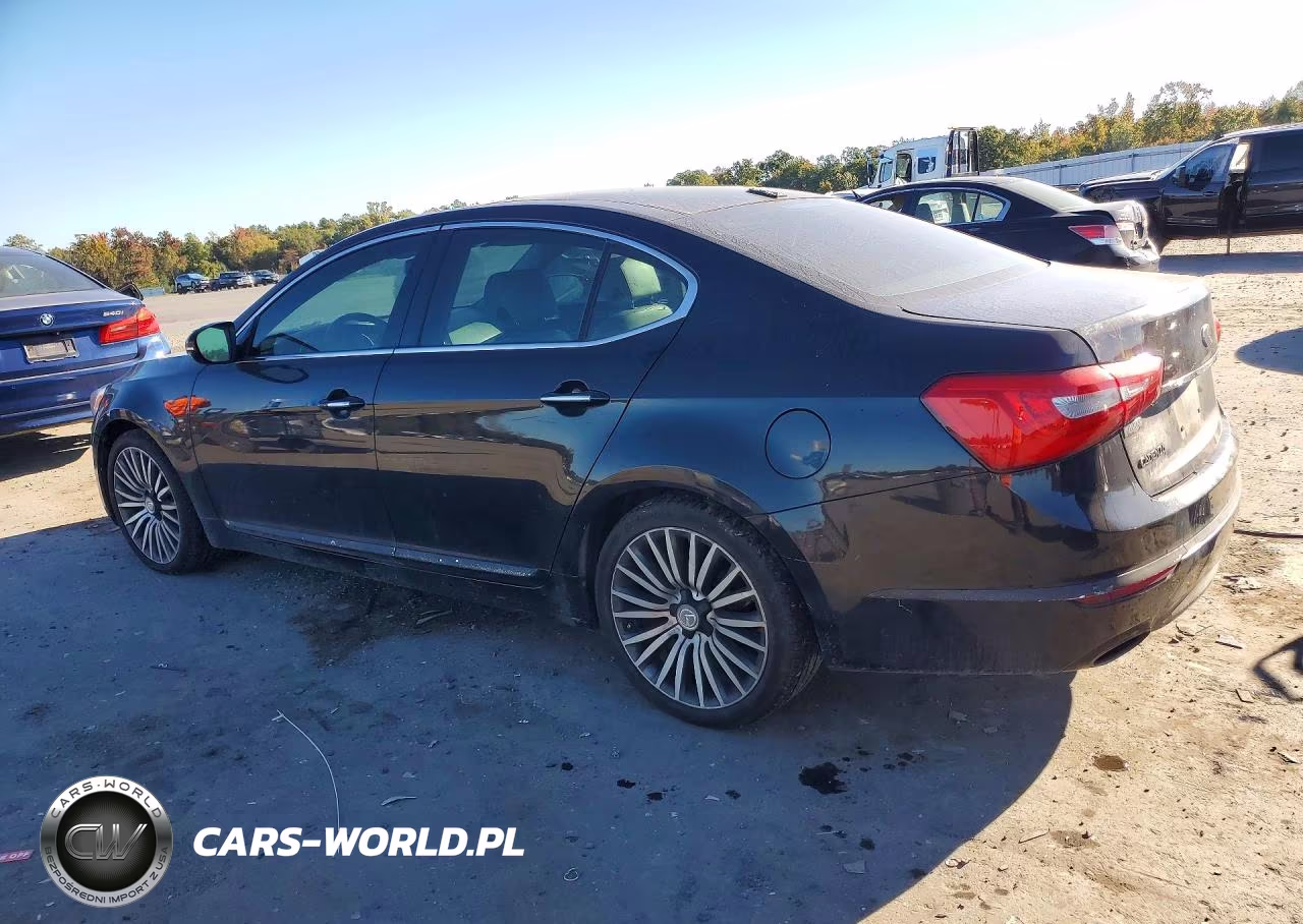2014 Kia Cadenza Premium VIN:KNALN4D71E5122466 - 2