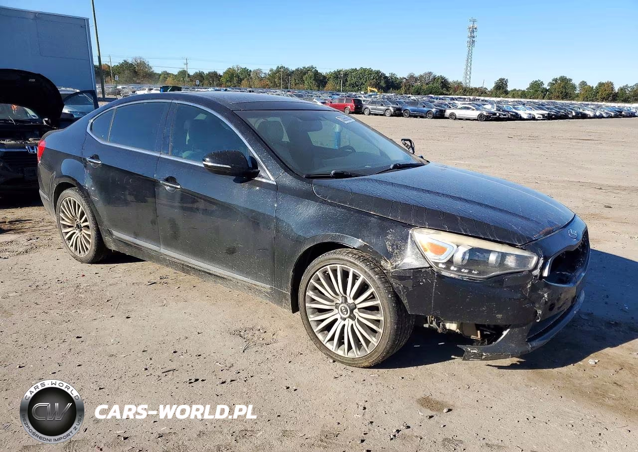 2014 Kia Cadenza Premium VIN:KNALN4D71E5122466 - 4