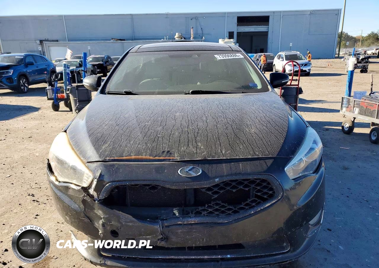 2014 Kia Cadenza Premium VIN:KNALN4D71E5122466 - 5