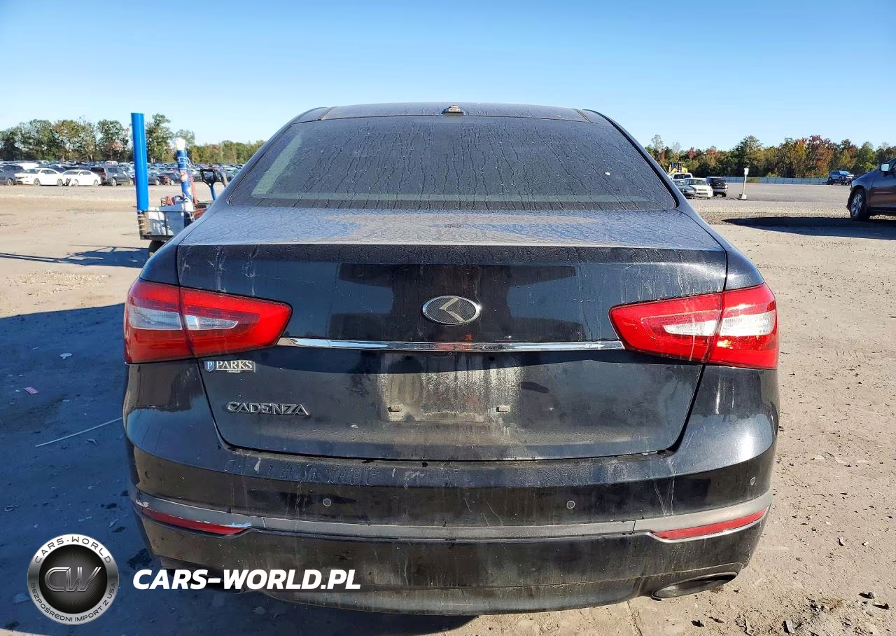 2014 Kia Cadenza Premium VIN:KNALN4D71E5122466 - 6