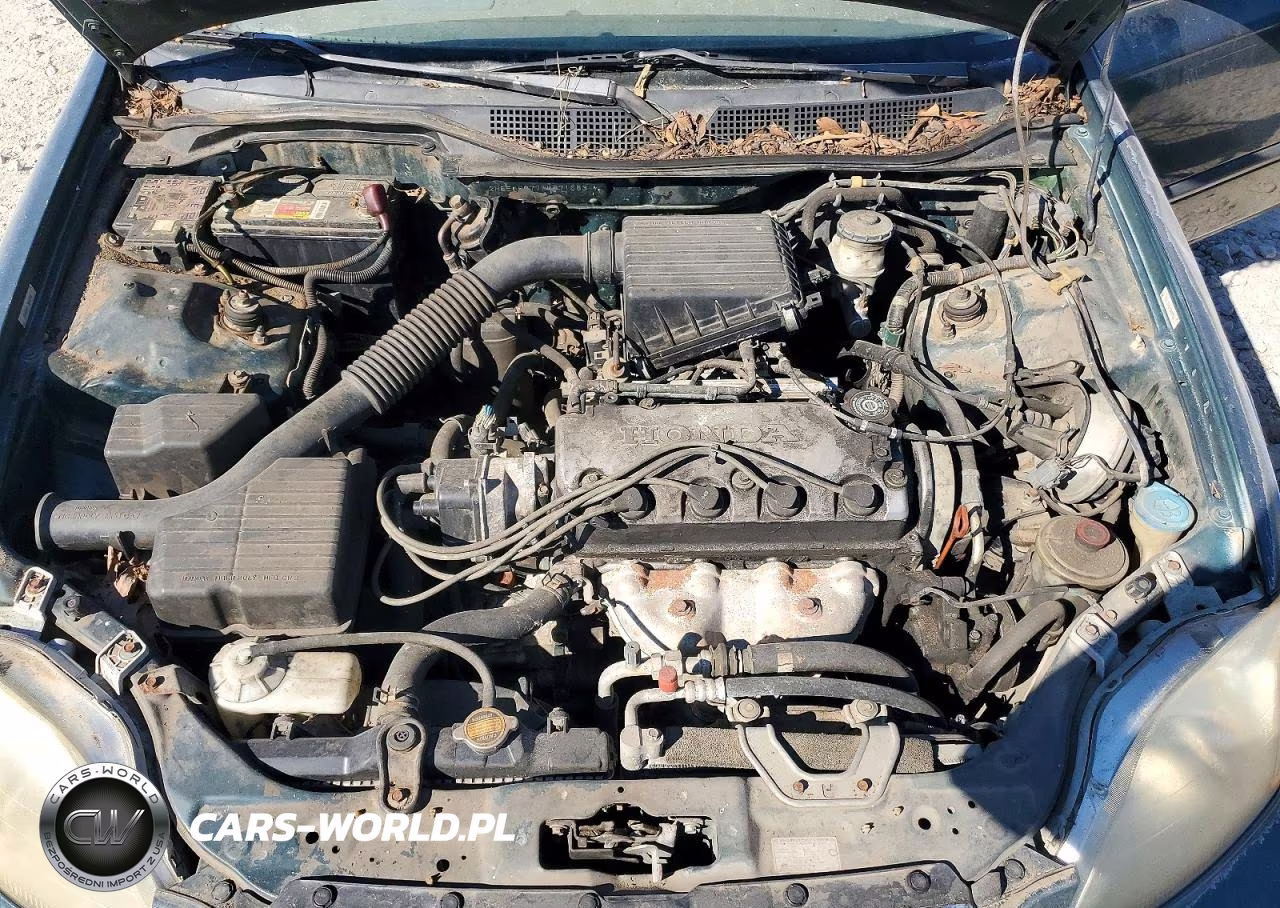 1998 Honda Civic Lx VIN:2HGEJ6677WH571663 - 11