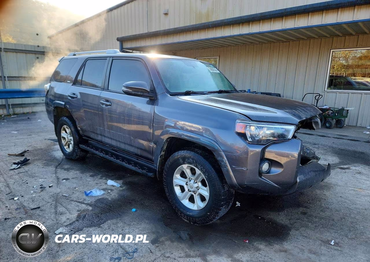 2017 Toyota 4Runner Sr5 Premium VIN:JTEBU5JR2H5465445 - 4
