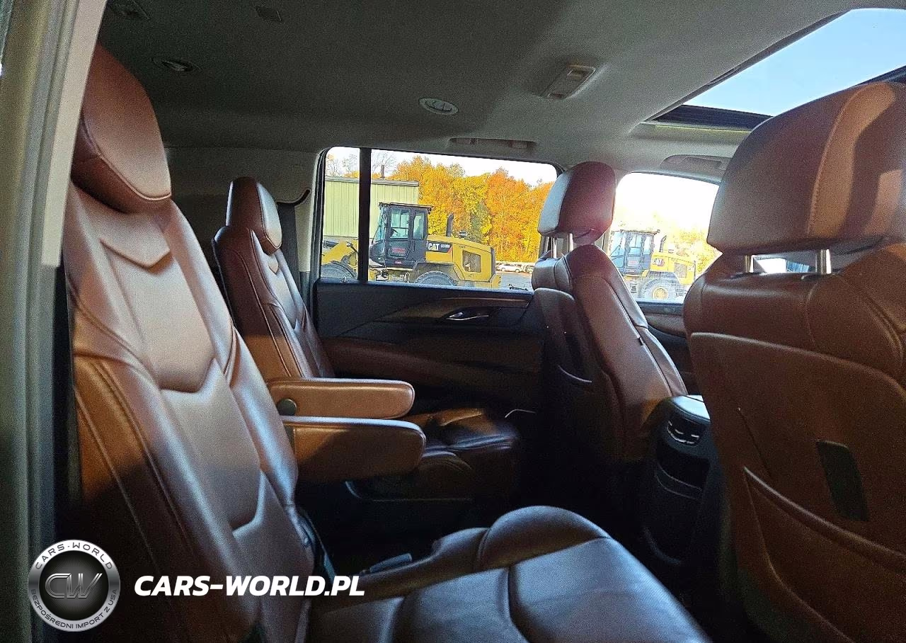 2020 Cadillac Escalade Esv Luxury VIN:1GYS4HKJ1LR220341 - 11