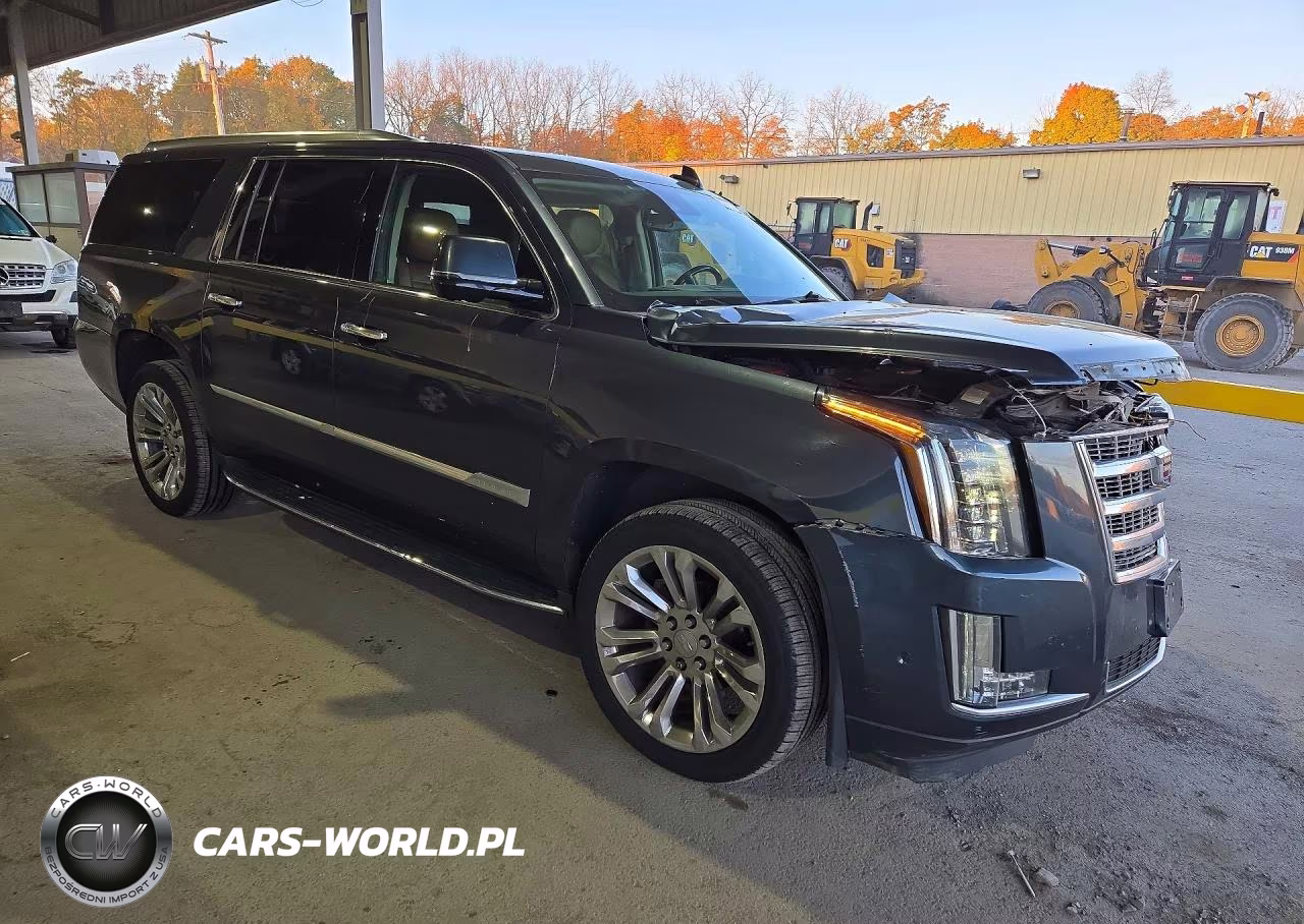 2020 Cadillac Escalade Esv Luxury VIN:1GYS4HKJ1LR220341 - 4