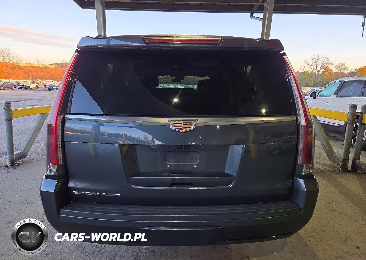 2020 Cadillac Escalade Esv Luxury VIN:1GYS4HKJ1LR220341 - 6
