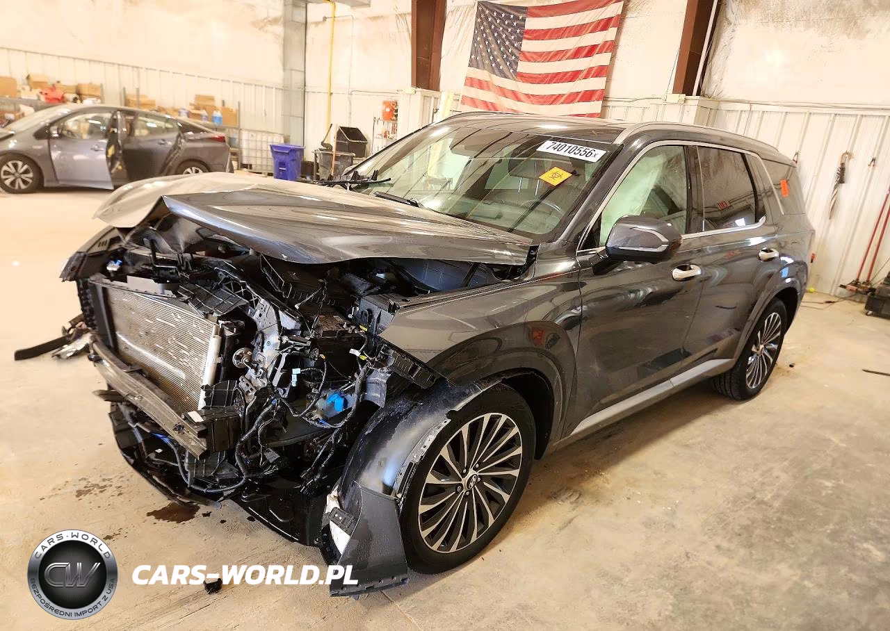 2024 Hyundai Palisade Calligraphy VIN:KM8R7DGE6RU736230 - 1