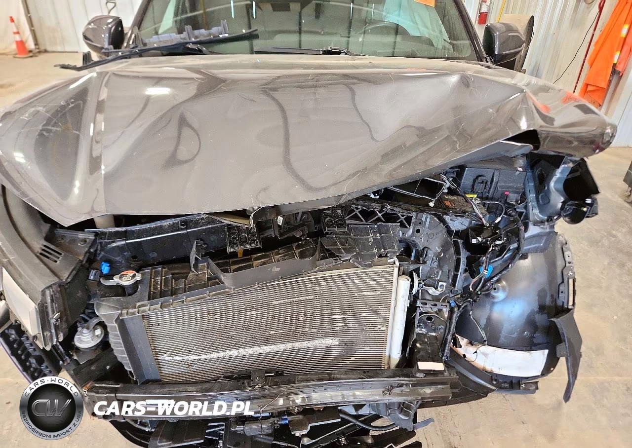2024 Hyundai Palisade Calligraphy VIN:KM8R7DGE6RU736230 - 12