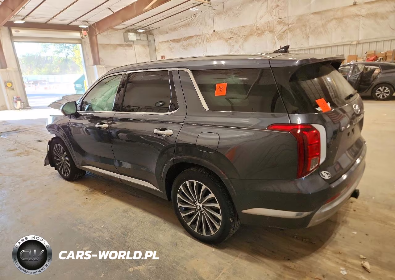 2024 Hyundai Palisade Calligraphy VIN:KM8R7DGE6RU736230 - 2