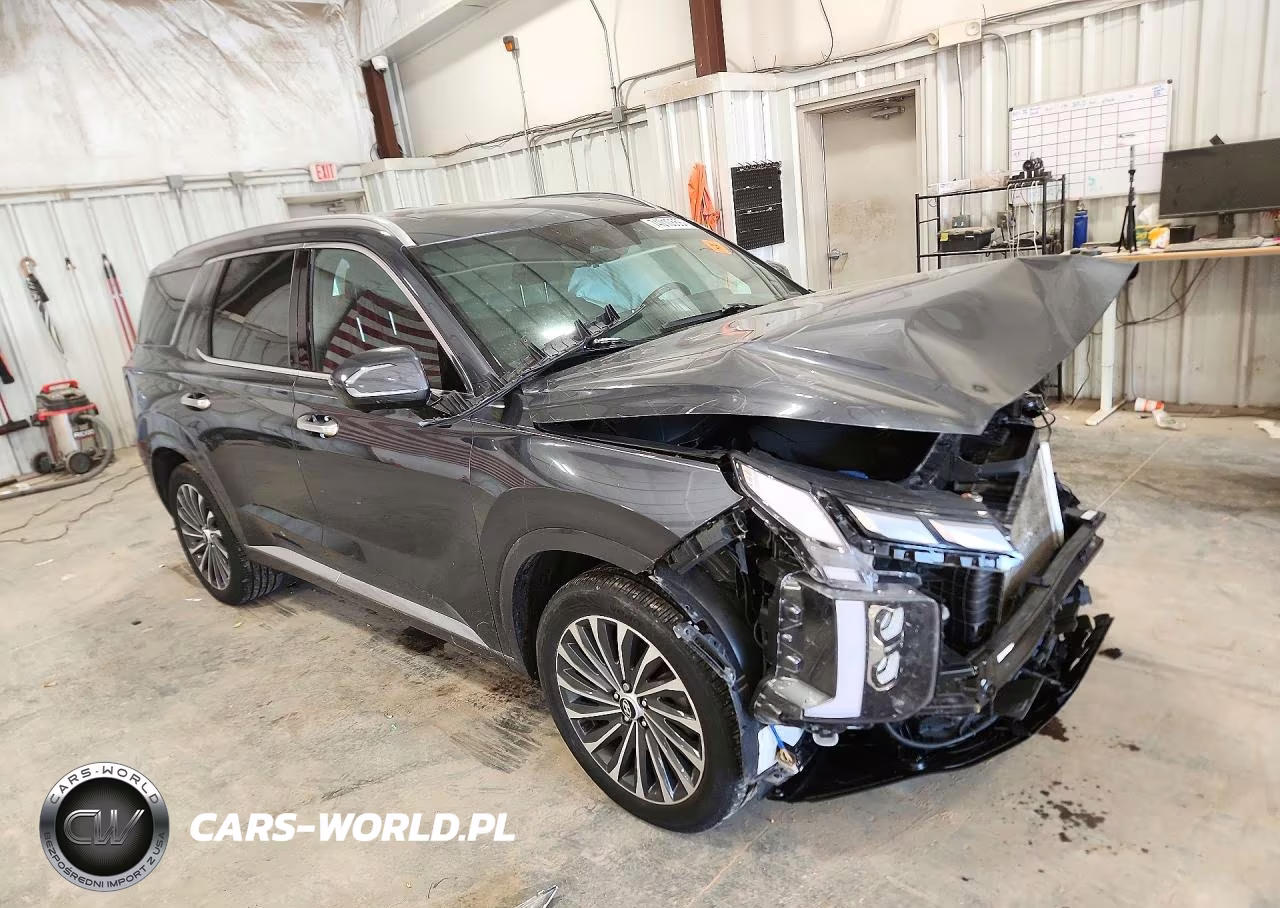 2024 Hyundai Palisade Calligraphy VIN:KM8R7DGE6RU736230 - 4