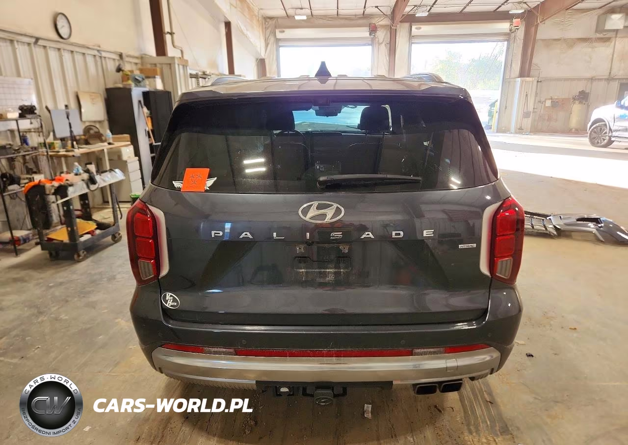 2024 Hyundai Palisade Calligraphy VIN:KM8R7DGE6RU736230 - 6