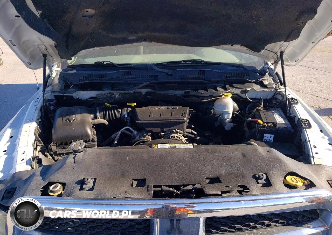 2010 Dodge Ram 1500 VIN:1D7RB1GP9AS126685 - 11