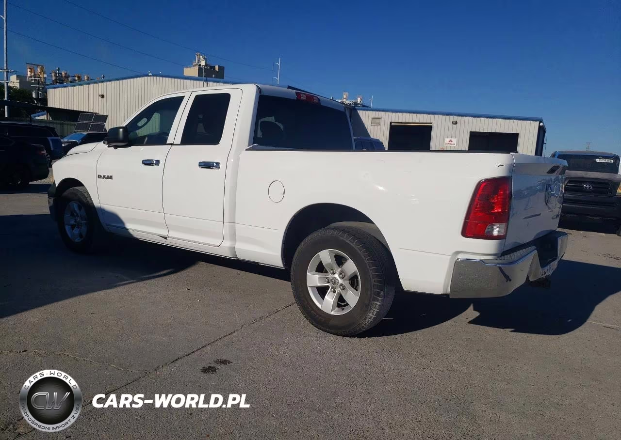 2010 Dodge Ram 1500 VIN:1D7RB1GP9AS126685 - 2