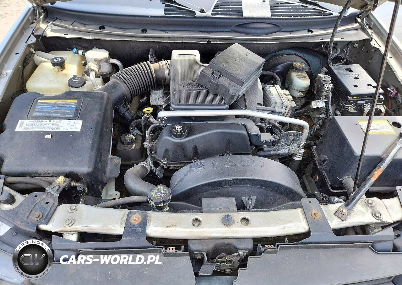 2004 Chevrolet Trailblazer Ls VIN:1GNDT13S442219167 - 12