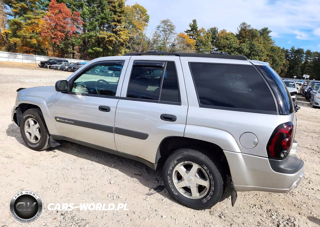 2004 Chevrolet Trailblazer Ls VIN:1GNDT13S442219167 - 2