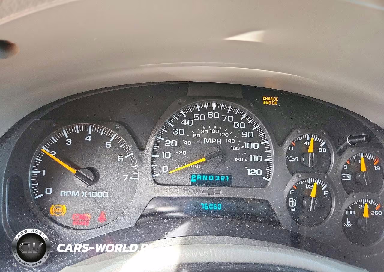 2004 Chevrolet Trailblazer Ls VIN:1GNDT13S442219167 - 9