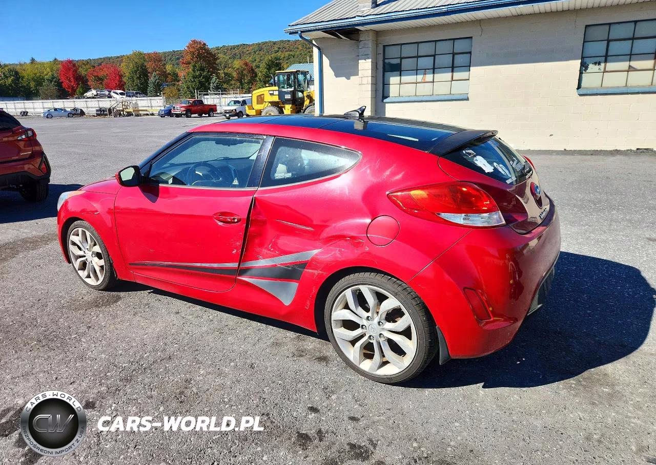 2013 Hyundai Veloster Base VIN:KMHTC6AD6DU119836 - 2
