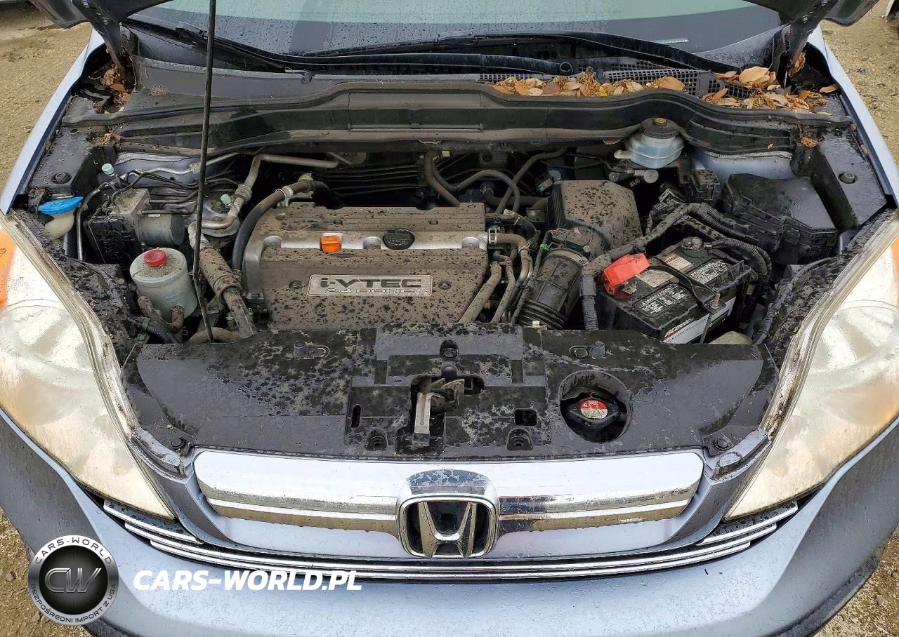 2008 Honda Cr-V Exl VIN:JHLRE48748C045666 - 12