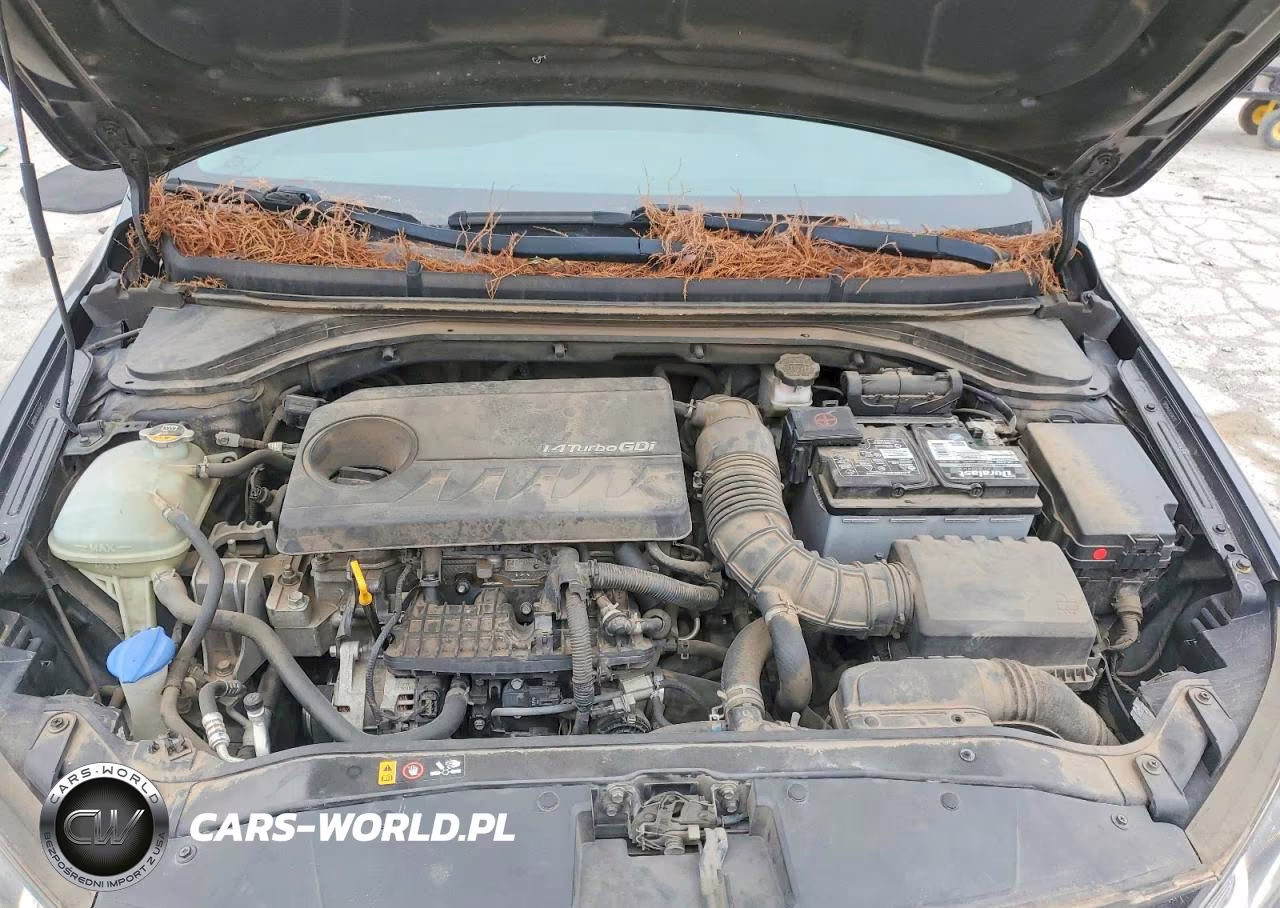 2018 Hyundai Elantra VIN:5NPD94LA1JH306342 - 11